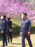 부천 원미산 진달래 축제 ㅡ 경기도 부천시 춘의동 원미산ㅡ 일대에서 매년4월경 ㅡ열리는 꽃축제 ㅡ 원미산 정상 168 m ㅡ춘덕산 - 근교... 