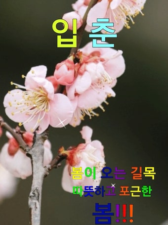 공작새ㅡ입춘 이미지 감상하세오ㅡ - 가요 민요 팦송방 - 서울 산이조아... 봄 한복 맵시ㅡ감상 하세요ㅡ아름다운 공작새ㅡ입춘 이미지 감상하세오ㅡ