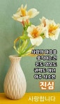 건강정보 ㅡ중년의 회춘비법ㅡ 꿀마늘의 효능ㅡ오십견과 근육건강에 좋다.ㅡ - 청솔 경운아방 - 서울 산이조아 산행 건강정보 ㅡ중년의... 
