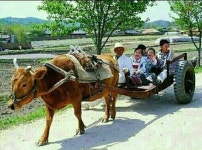 돌아와요 부산항에 ㅡ홍 지윤 노래ㅡ 1884년의 ㅡ조선의 서울ㅡ사진과 자세한 해설 ㅡ그시절 이미지 영상입니다ㅡ - 가요 민요 팦송방 - 서울... 