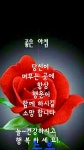 처음 처럼 ㅡ미녀와 야수 노래ㅡ 에헤라 가보자 ㅡ금 소연 노래 ㅡ아름다운 이미지ㅡ 영상 입니다ㅡ - 가요 민요 팦송방 - 서울 산이조아 산행 처음... 