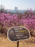 부천 원미산 진달래 축제 ㅡ 경기도 부천시 춘의동 원미산ㅡ 일대에서 매년4월경 ㅡ열리는 꽃축제 ㅡ 원미산 정상 168 m ㅡ춘덕산 - 근교... 