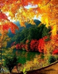 영상 입니다ㅡ - 가요 민요 팦송방 - 서울 산이조아 산행 터미날 ㅡ윤 수일 노래ㅡ아름다운 ㅡ분수 영상 입니다ㅡ아름다운 ㅡ단풍 영상 입니다ㅡ