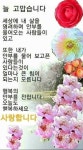 성남 누비길 제2구간 ㅡ검단산길 ㅡ성남 누비길 제3구간ㅡ영장산길 산행ㅡ - 성남 누비길 - 서울 산이조아 산행 성남 누비길 제2구간 ㅡ검단산길... 