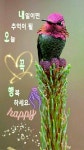 백년 친구 ㅡ - 청솔 경운아방 - 서울 산이조아 산행 백년 친구 ㅡ