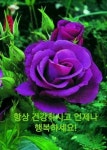 유머 웃고삽시다ㅡ남녀관계 변천사ㅡ 1970년대 ㅡ 장소는 여인숙ㅡ 1990년대 ㅡ 장소는 교외의 러브파크.ㅡ - 청솔 경운아방 - 서울 산이조아... 