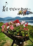 봄날은간다 ㅡ경음악 ㅡ아름다운 꽃영상 ㅡ봄은 왔는데 세상이 왜이래ㅡ - 가요 민요 팦송방 - 서울 산이조아 산행 봄날은간다 ㅡ경음악... 