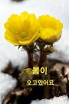 오는소리ㅡ봄이 오는길 ㅡ - 가요 민요 팦송방 - 서울 산이조아 산행... 영상 ㅡ가사 첨부합니다ㅡ 봄이 오는소리ㅡ봄이 오는길 ㅡ