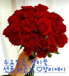 사는동안 ㅡ이 태호 노래ㅡ인생이 별거냐ㅡ즐겁게 살자ㅡ - 가요 민요... 산이조아 산행 사는동안 ㅡ이 태호 노래ㅡ인생이 별거냐ㅡ즐겁게 살자ㅡ