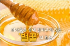 청솔꿀벌농장 협동조합 | 의사들은 절대알려주지 않는 ㅡ벌꿀의 효능 ㅡ "꿀은 이 세상에서 ㅡ상하지 않는 유일한 식품ㅡ꿀은 실제로 ㅡ상하지 않는다고 하 - 청솔 경운아방...