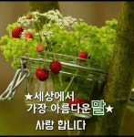 남은인생 관 - 청솔 경운아방 - 서울 산이조아 산행 최근 발표한 ㅡ유익한 통계정보ㅡ 2022년 1월말 기준ㅡ통계청 국민연금공단ㅡ 건강보험공단