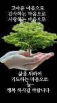 건강 상식 ㅡ절대 무시하면 안 되는 몸의 통증 다섯가지 ㅡ 아침 두통ㅡ... 산행 건강 상식 ㅡ절대 무시하면 안 되는 몸의 통증 다섯가지 ㅡ 아침... 