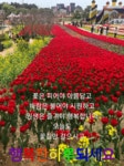 당신이 좋아ㅡ남진 노래ㅡ 아름다운 꽃 피는ㅡ영상 입니다 ㅡ - 가요... 산이조아 산행 당신이 좋아ㅡ남진 노래ㅡ 아름다운 꽃 피는ㅡ영상 입니다 ㅡ