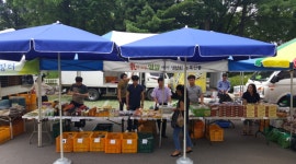 안산시호남향우회, 내 고향 농수산물 팔아주기...도농상생운동 전개... 뉴스줌인 안산시호남향우회, 내 고향 농수산물 팔아주기...도농상생운동 전개
