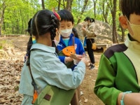 [숲견학] 수락산 동막골로 숲체험을 다녀왔어요~ - 열매반(7세) - 사진보따리 - 2022 온누리유치원 [숲견학] 수락산 동막골로 숲체험을 다녀왔어요~