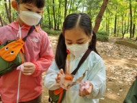 [숲견학] 수락산 동막골로 숲체험을 다녀왔어요~ - 열매반(7세) - 사진보따리 - 2022 온누리유치원 [숲견학] 수락산 동막골로 숲체험을 다녀왔어요~