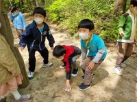 [숲견학] 수락산 동막골로 숲체험을 다녀왔어요~ - 열매반(7세) - 사진보따리 - 2022 온누리유치원 [숲견학] 수락산 동막골로 숲체험을 다녀왔어요~