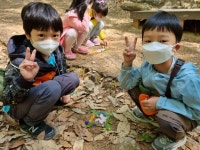 [숲견학] 수락산 동막골로 숲체험을 다녀왔어요~ - 열매반(7세) - 사진보따리 - 2022 온누리유치원 [숲견학] 수락산 동막골로 숲체험을 다녀왔어요~