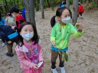 [숲견학] 수락산 동막골로 숲체험을 다녀왔어요~ - 열매반(7세) - 사진보따리 - 2022 온누리유치원 [숲견학] 수락산 동막골로 숲체험을 다녀왔어요~