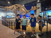 국립과천과학관으로 과학여행을 떠나다! - 다산숲 이야기 - 다산숲지역아동센터 국립과천과학관으로 과학여행을 떠나다!