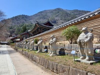 두타산 삼화사 쌍폭포.용추 폭포 & 무릉반석... - 體驗글 . 自作글 - 강릉제일고32기동창회 두타산 삼화사 쌍폭포.용추 폭포 & 무릉반석...