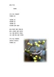 소식지 212호(2026년 3월 1일 주일 .사순 제2주일) - ◙ 서교동 소식지 ◙ - 여수 서교동성당 소식지 212호(2026년 3월 1일 주일 .사순... 