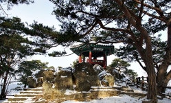 2026년 1월21일(수)부소산성의 겨울풍경과 한 잔 마시면 3년씩 젊어진다는 고란약수 마시러가요~~ - [1/21](수)마시면 3년씩 젊어진다는... 