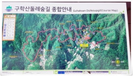 구학산둘레숲길로 트레킹~~ - 6월25일(수)멋진 명품숲길인 구학산둘레숲길로 - 신화로세계여행 2025년 6월 25일(수)멋진 명품숲길인 구학산... 
