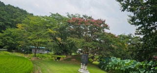 진주시 명석면 용산정 - 우초의 방 - 인터넷 촉석루 진주시 명석면 용산정