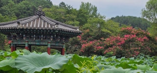 진주시 명석면 용산정 - 우초의 방 - 인터넷 촉석루 진주시 명석면 용산정