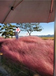 갤럭시S22 울트라 사고 충격 받은 한 유저...jpg - [이슈] 목욕탕 정보통 - 우리 동네 목욕탕 갤럭시S22 울트라 사고 충격 받은 한 유저...jpg