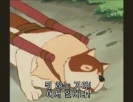 요새 직장인들 파트라슈에 자아의탁 한다는 얘기 듣고 웃었는데... twt - [이슈] 목욕탕 정보통 - 우리 동네 목욕탕 요새 직장인들 파트라슈에... 