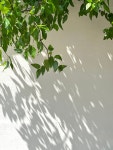 나는 경주의 여름을 정말 좋아함.twt - [이슈] 목욕탕 정보통 - 우리 동네 목욕탕 나는 경주의 여름을 정말 좋아함.twt