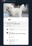 목화솜도 교육이 가능한줄은 몰랐네요 - [이슈] 목욕탕 정보통 - 우리 동네 목욕탕 목화솜도 교육이 가능한줄은 몰랐네요