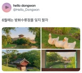 6월에는 방화수류정을 잊지 말자.twt - [이슈] 목욕탕 정보통 - 우리 동네 목욕탕 6월에는 방화수류정을 잊지 말자.twt