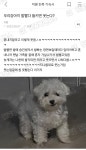 우리 강아지 발 빨다 들키면 웃는다? - [이슈] 목욕탕 정보통 - 우리 동네 목욕탕 우리 강아지 발 빨다 들키면 웃는다?