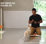 훈련사 강형욱의 새로운 컨텐츠 [집에가자] - 인스티즈(instiz) 이슈 카테고리 훈련사 강형욱의 새로운 컨텐츠 [집에가자]