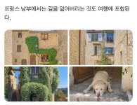 프랑스 남부에서는 길을 잃어버리는 것도 여행에 포함된다.twt - [이슈] 목욕탕 정보통 - 우리 동네 목욕탕 프랑스 남부에서는... 