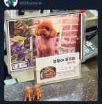 오늘 간 약국 이름이 포도길래 약사님이 포도를 좋아하나? 궁금했는데 - [이슈] 목욕탕 정보통 - 우리 동네 목욕탕 오늘 간 약국 이름이 포도길래... 