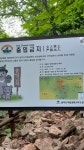 2025.06.07. 흘림골(흘림골탐방센타~오색주차장 6.4km 3h22m)(3).. 지인과함께.. - BAC백대명산 - 금강나루 산행story 2025.06.07. 흘림골... 