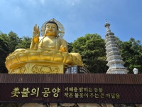 금오사 - 사찰 - 빈손의 일상 금오사