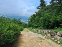 부산팔금산임도길 - 우리들의 이야기 - 행복안창 부산팔금산임도길