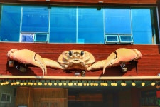 해파랑길 20코스 (강구항 → 영덕해맞이공원) 영덕의 해안길 따라서 ~~ 3코스 1. - 해파랑길 트래킹 사진 - 평택 뫼산악회 해파랑길 20코스... 