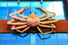 해파랑길 20코스 (강구항 → 영덕해맞이공원) 영덕의 해안길 따라서 ~~ 3코스 1. - 해파랑길 트래킹 사진 - 평택 뫼산악회 해파랑길 20코스... 