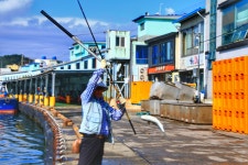 해파랑길 20코스 (강구항 → 영덕해맞이공원) 영덕의 해안길 따라서 ~~ 3코스 1. - 해파랑길 트래킹 사진 - 평택 뫼산악회 해파랑길 20코스... 