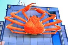 해파랑길 20코스 (강구항 → 영덕해맞이공원) 영덕의 해안길 따라서 ~~ 3코스 1. - 해파랑길 트래킹 사진 - 평택 뫼산악회 해파랑길 20코스... 