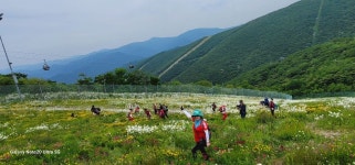제25차 정기산행 백운산,마천봉 (강원정선) - 산행공지 - 마포 동일 산악회 제25차 정기산행 백운산,마천봉 (강원정선)
