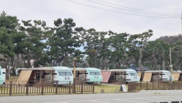 사계절 달리고 싶은 길, 경주 감포해안 드라이브 - ▦▶섬여행/국내여행 - 토지사랑모임카페 사계절 달리고 싶은 길, 경주 감포해안 드라이브