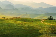 서산·제주 비밀의 목장 투어 ::서산 한우목장길, 제주 대한목장, 계룡 안보생태 탐방로 - ▦▶섬여행/국내여행 - 토지사랑모임카페 서산·제주... 