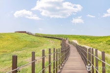 서산·제주 비밀의 목장 투어 ::서산 한우목장길, 제주 대한목장, 계룡 안보생태 탐방로 - ▦▶섬여행/국내여행 - 토지사랑모임카페 서산·제주... 